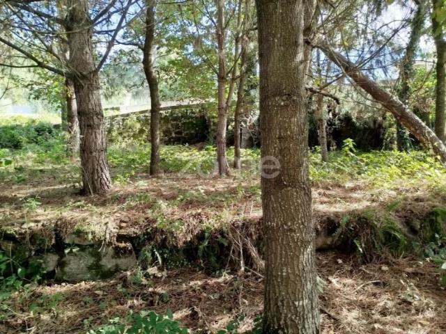 Terreno venda em Tondela e Nandufe, Tondela