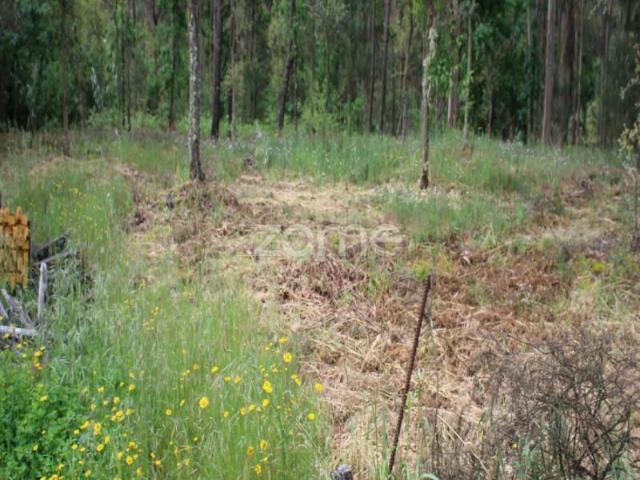 Terreno venda em Tondela e Nandufe, Tondela