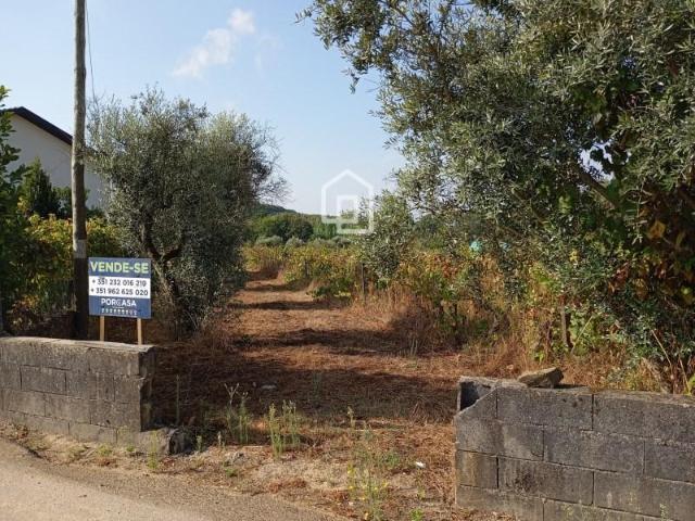 Terreno venda em Tondela e Nandufe, Tondela