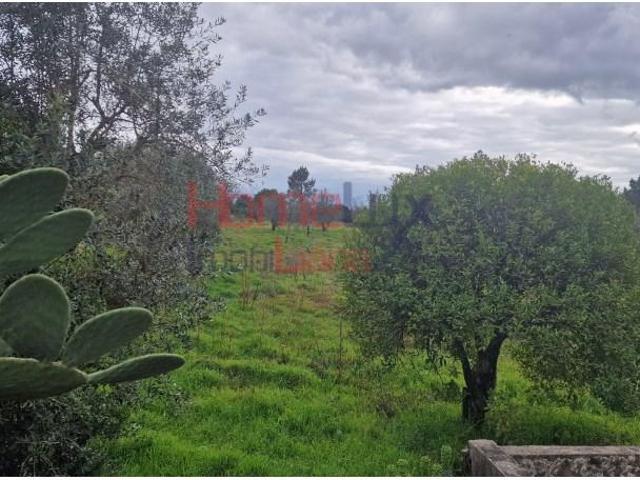 Terreno venda em Tondela e Nandufe, Tondela