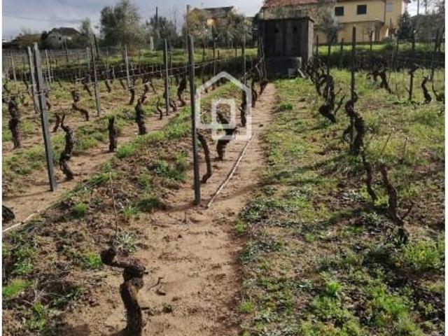 Terreno venda em Tondela e Nandufe, Tondela