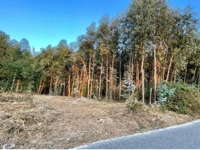 Terreno venda em Tondela e Nandufe, Tondela