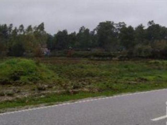 Terreno venda em Casaínho, Tondela