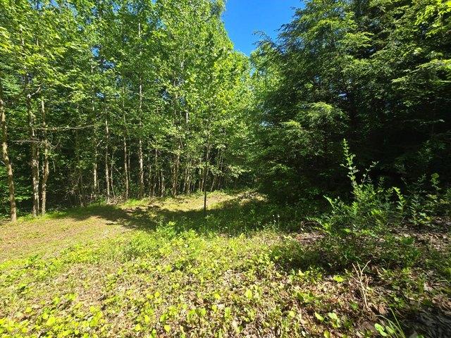 House for sale in Scarbro, West Virginia
