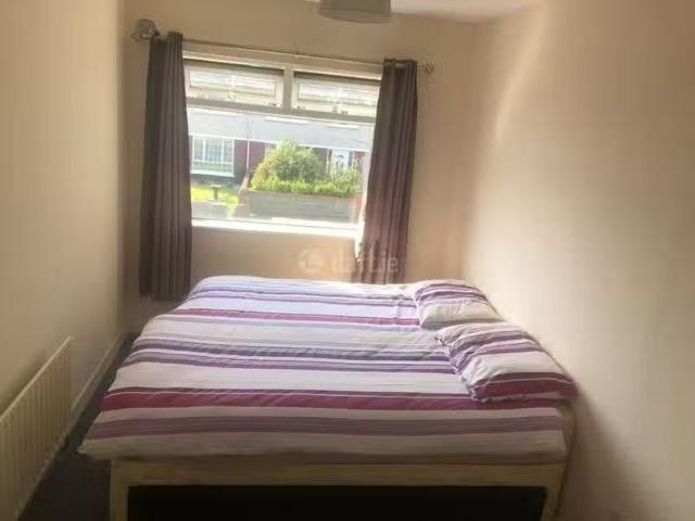 House to rent