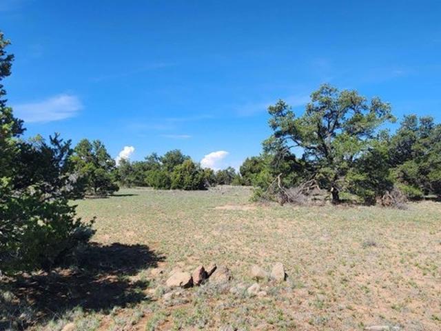 Land for sale in Catron, New Mexico
