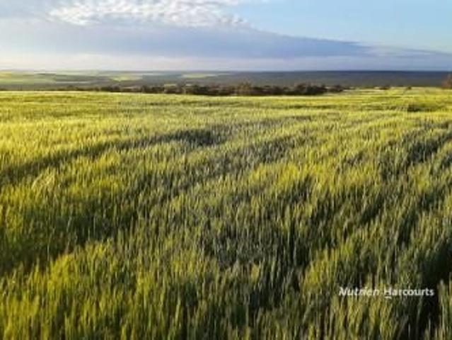 Property for sale in Boothendarra, Western Australia