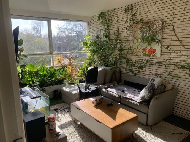 Room for rent in Camerons Creek, Victoria