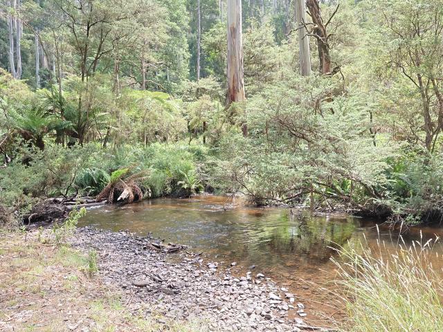Property for sale in Noojee, Victoria