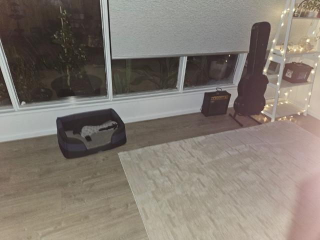Room for rent in Camerons Creek, Victoria