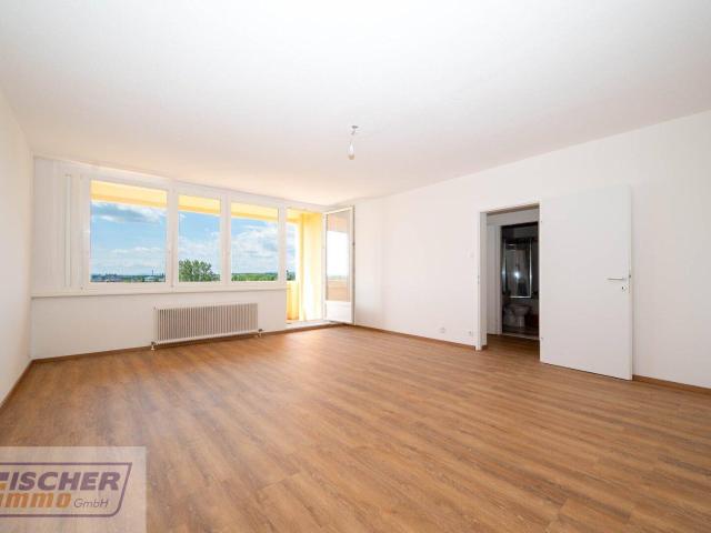 Apartment kaufen in Baden, Niederösterreich