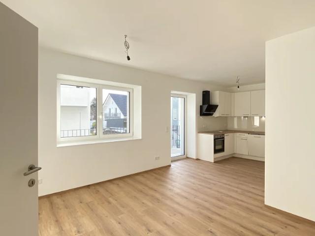 Apartment mieten in Zwischenbrücken, Steyr