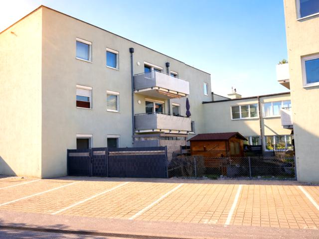 Wohnung kaufen in Leobersdorf, Niederösterreich