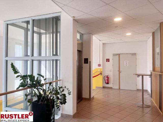Gewerbe mieten in Mödling, Niederösterreich