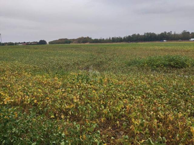 Gewerbe kaufen in Gänserndorf, Niederösterreich