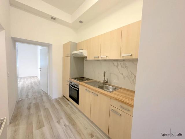 Apartment mieten in KG Brigittenau, Wien