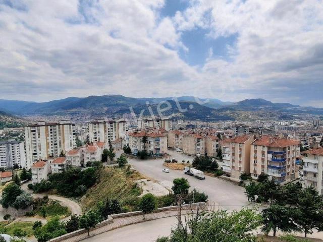 Tokat Merkez, Tokat içerisinde kiralık mülk