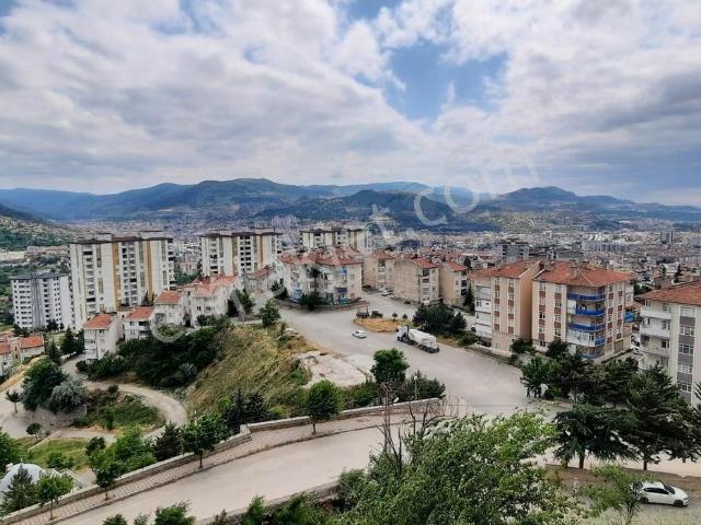 Tokat Merkez, Tokat içerisinde kiralık mülk
