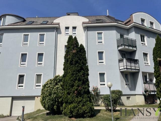 Erdgeschosswohnung kaufen in Baden, Bezirk Baden