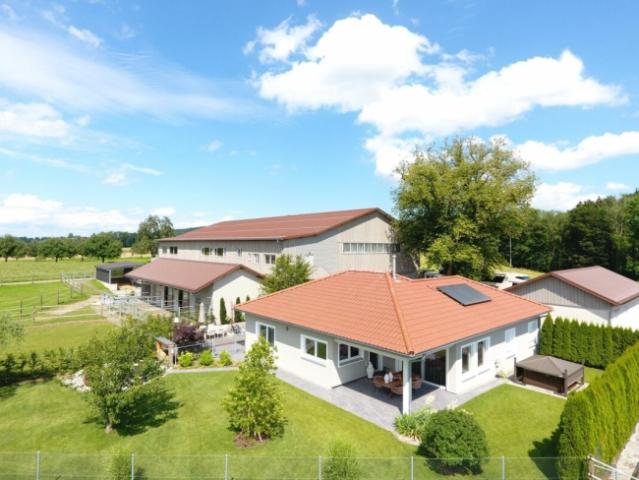 Wohnung kaufen in Homburg, Thurgau