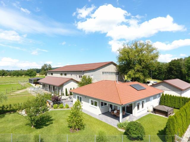 Landwirtschaft kaufen in Homburg, Thurgau