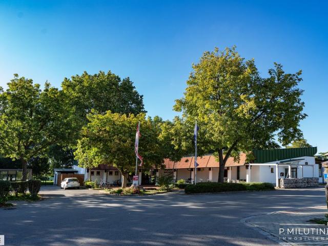 Grundstück kaufen in Gols, Burgenland