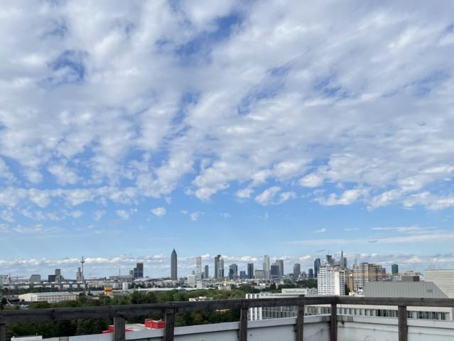 Wohnung kaufen in Niederrad, Frankfurt am Main
