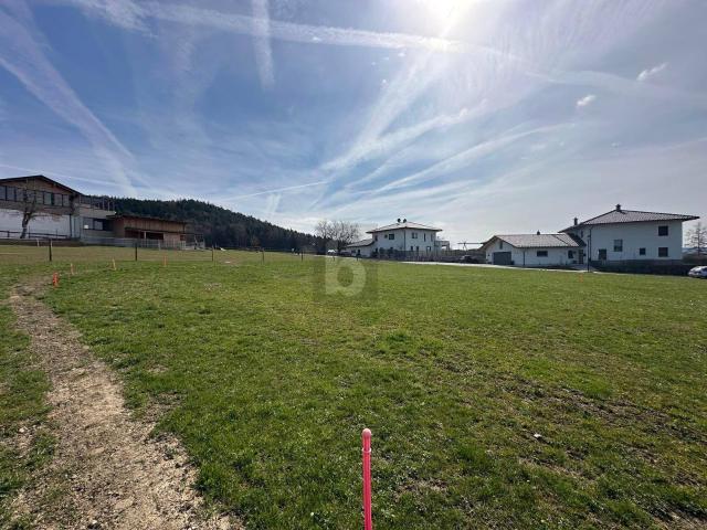 Immobilie kaufen in Schalchen, Oberösterreich