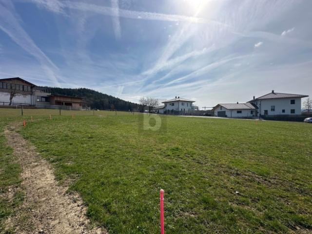Grundstück kaufen in Auffang, Schalchen