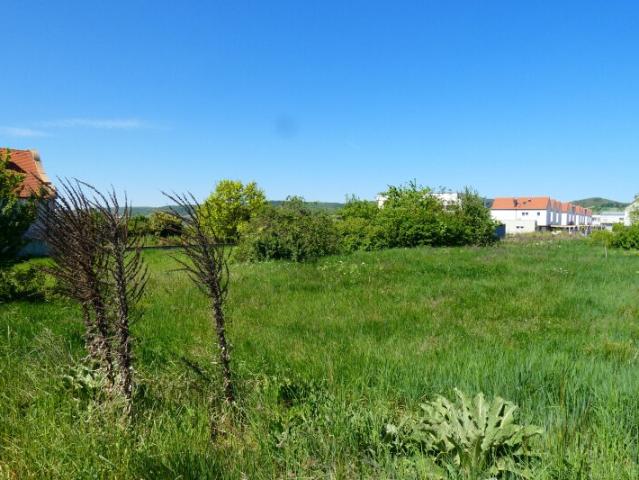 Grundstück kaufen in Pürbach, Burgenland
