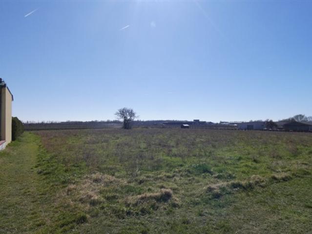 Grundstück kaufen in Gols, Burgenland