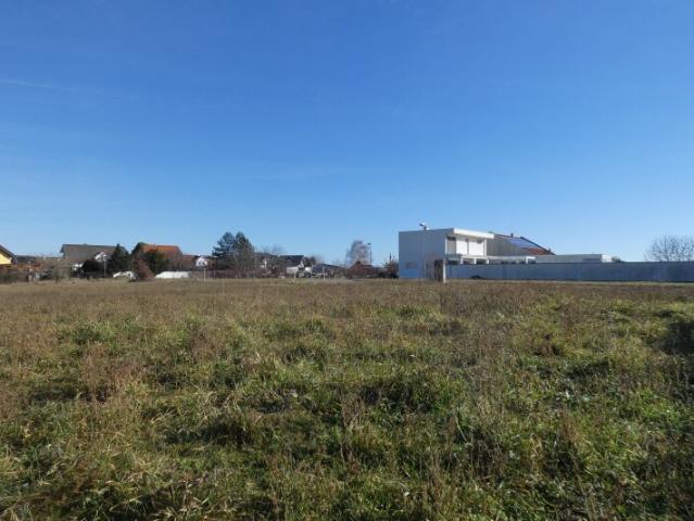 Grundstück kaufen in Podersdorf am See, Burgenland