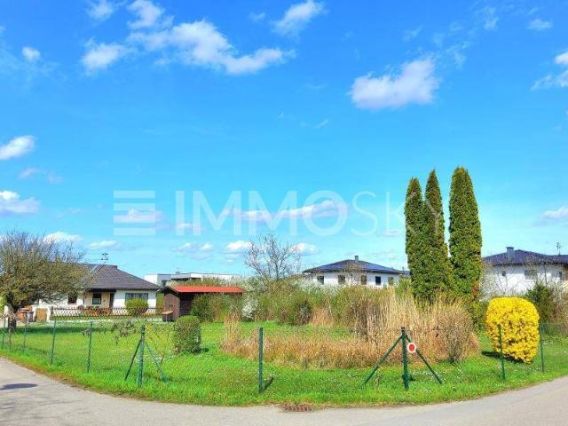 Immobilie kaufen in Marchtrenk, Oberösterreich