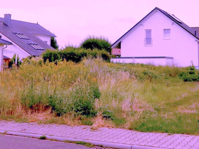 Erdgeschosswohnung kaufen in Haßloch, Rheinland-Pfalz