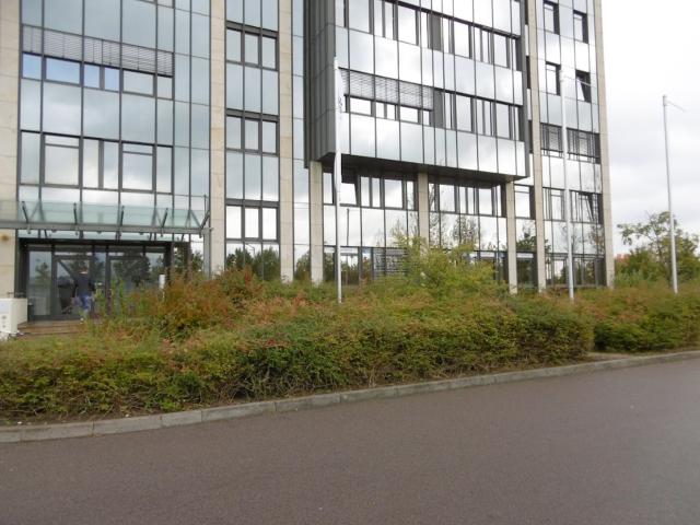 Büro mieten in Seehausen, Leipzig