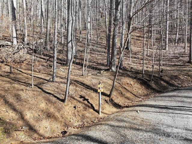 Land for sale in Sylva, North Carolina