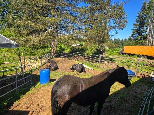 Room for rent in Oregonia