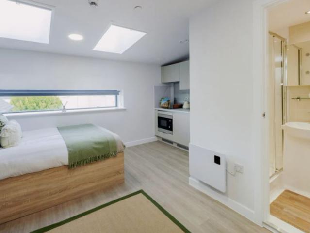 Studio for rent in Fishergate, High Field