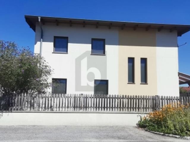 Einfamilienhaus kaufen in Wimpassing an der Leitha, Burgenland