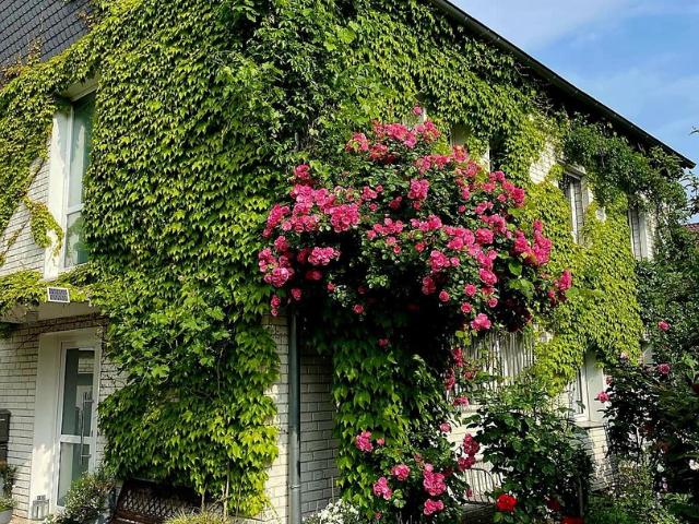 Haus kaufen in Chorweiler, Köln