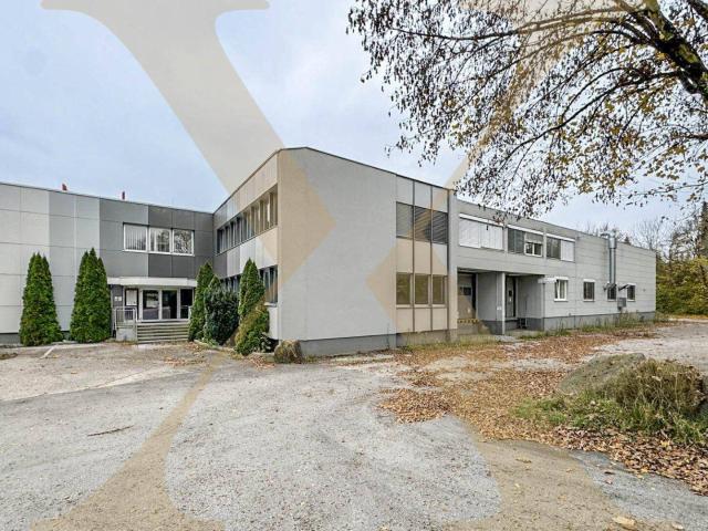 Gewerbe mieten in Thalheim bei Wels, Oberösterreich