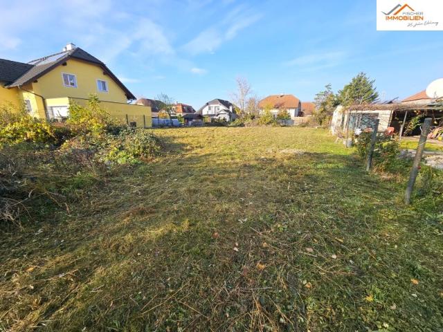 Grundstück kaufen in Katastralgemeinde Traiskirchen, Traiskirchen