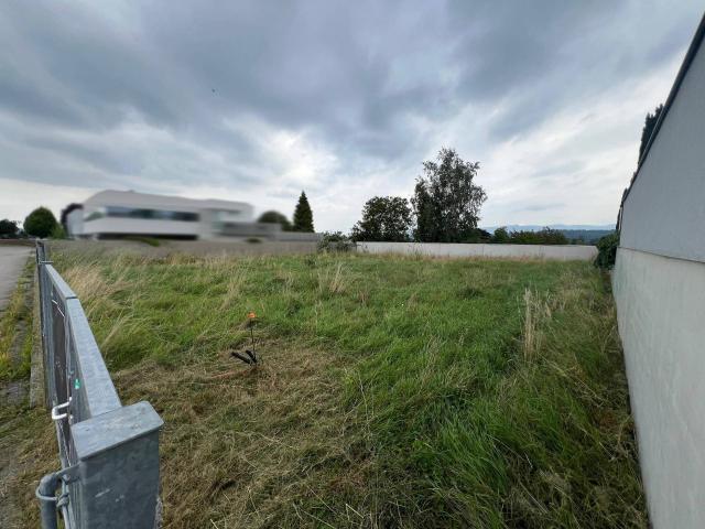 Immobilie kaufen in Wallsee-Sindelburg, Niederösterreich