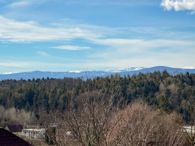Haus kaufen in Seiersberg, Steiermark