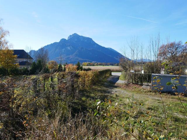 Immobilie kaufen in Anif, Salzburg