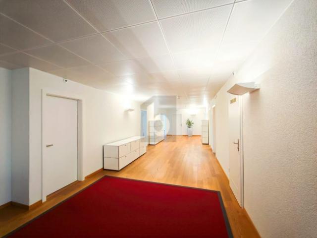 Atelier mieten in Einigen, Zürich