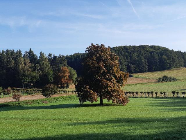 Villa kaufen in Gößweinstein, Bayern