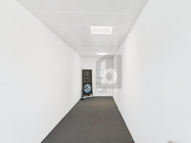 Atelier mieten in Staad (SG), St. Gallen