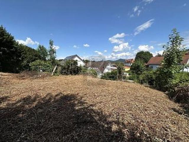Erdgeschosswohnung mieten in Friesenheim, Baden-Württemberg
