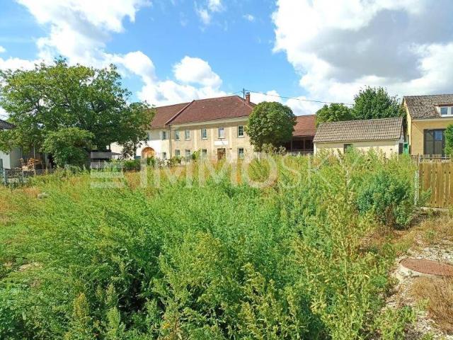 Immobilie kaufen in Marchtrenk, Oberösterreich